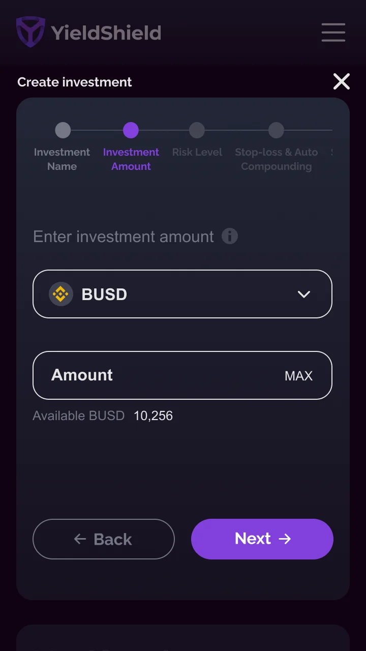 Step 2 - Investment amount